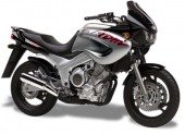 TDM 850 stříbrná-černá model 1998